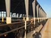 Feed Rail