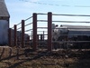 Cow Yard Fence