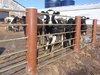 Cow Yard Fence